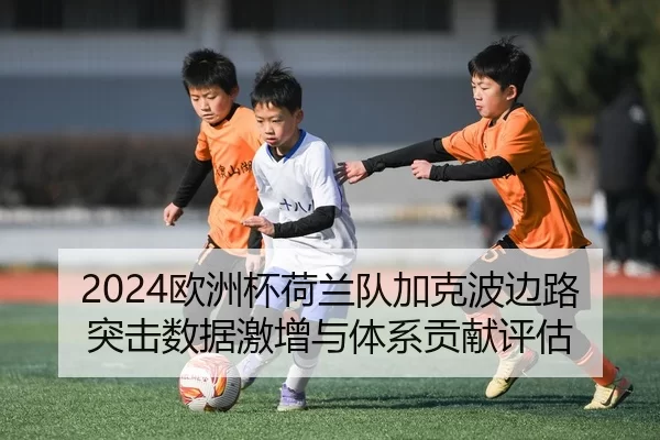 2024欧洲杯荷兰队加克波边路突击数据激增与体系贡献评估