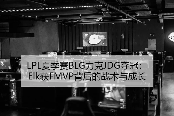 LPL夏季赛BLG力克JDG夺冠：Elk获FMVP背后的战术与成长